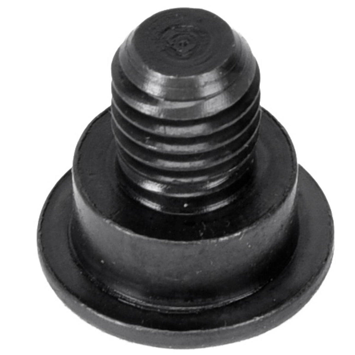 BMW rotor retaining screw thread and head close-up